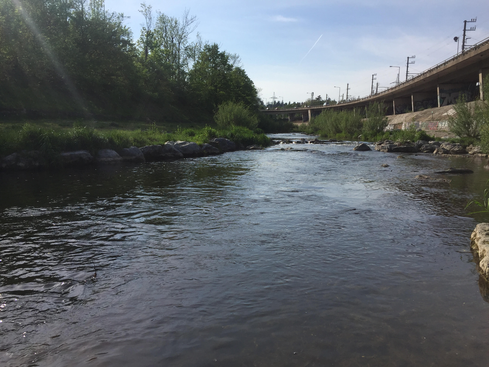 Wenn der Wienfluss wieder leuchtet
